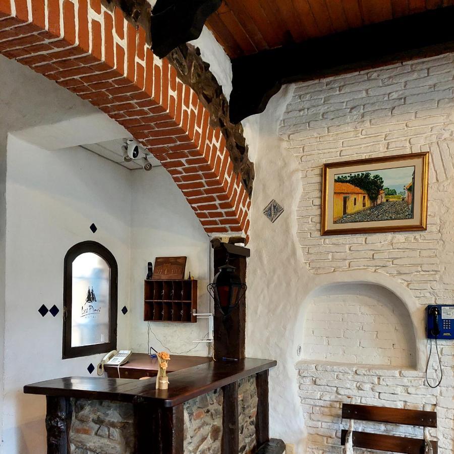 Posada Los Pinos Colonia del Sacramento Ngoại thất bức ảnh